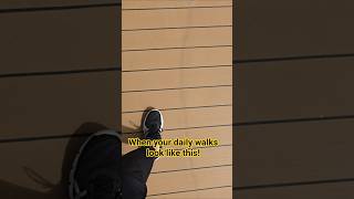 Daily walks on the promenade living full time on the Villa Vie Odyssey cruise ship. #cruise