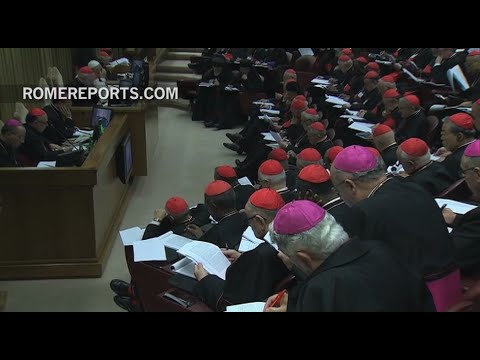 Claves de la primera parte del Sínodo de la Familia