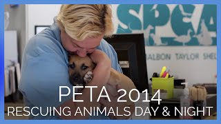 Meet PETA's Rescue Team and Some of the Animals They've Helped