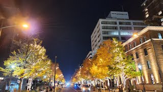 【Vlog】焼肉やイルミ、カフェ時間を堪能する休日2日間