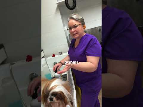 שיצו תערוכות 🐾