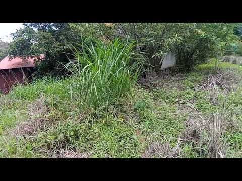 Imagen de Venta de Lotes y Terrenos en Ciudad colón - Mora Ciudad Colón - SAN JOSÉ