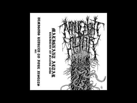 download lagu mp3 mp4 Malignant Altar, download lagu Malignant Altar gratis, unduh video klip Malignant Altar