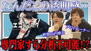 【エゴロック - 三枝明那】澄み渡る美声はまるでソーダのよう。新種の声使いに大興奮の専門家2人ww【リアクション&解説】にじさんじ nijisanji