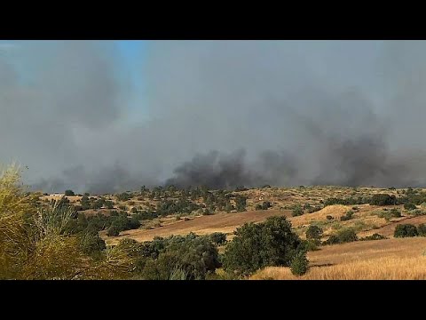 Waldbrand bei Madrid zwingt zur Evakuierung und hüllt Hauptstadt in Rauch