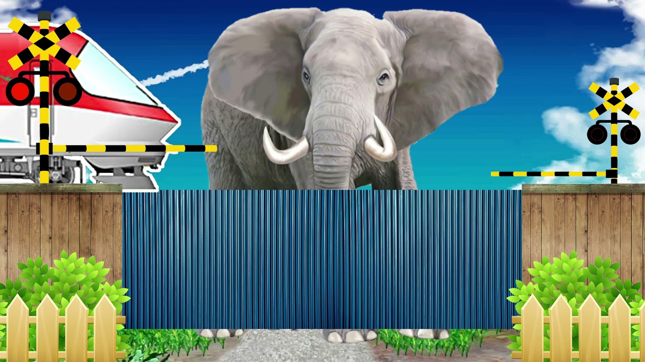 【Animal's name 電車 踏切】★動物の名前 わかるかな? 象 ゴリラ ぞうさん★ Fun railroad crossing animation for children