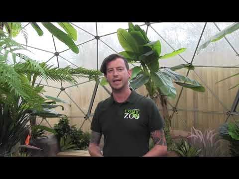 Telford 50 Legacy - Exotic Zoo
