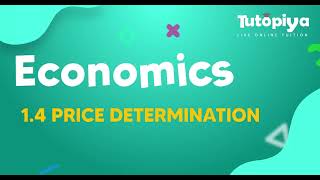 Consumer and producer surplus