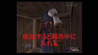 【FF11】サンドリア港の箱の中に入る裏技手順