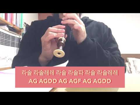 Ariana Grande - positions (Recorder Cover) w/chords