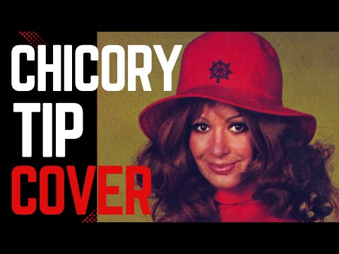 CHICORY TIP | SON OF MY FATHER | cover version | TOP OF THE POPS LP series | GLAM ROCK | 1972