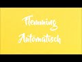 Flemming - Automatisch (Lyrics Video)