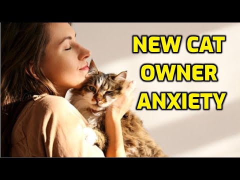 How Long Does It Take For A Cat To Adjust To A New Owner?