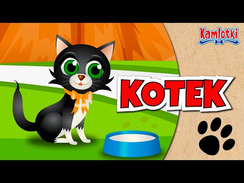 Kotek  – Julian Tuwim 🐱 Bajka o kotku 🐱 Wierszyki dla dzieci | Kamlotki