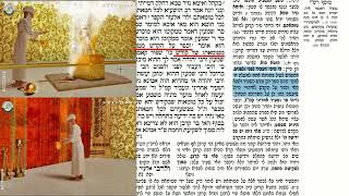 דף יומי מסכת שבועות דף ח Daf yomi Masechet Shevuot page 8  ע"י יוני גוטמן (שיעורי הדף היומי ב-20 דקות – מועבר ע"י ר' יוני גוטמן – לעילוי נשמת אביו ר' אלימלך צבי (צביקה) גוטמן ז"ל) - התמונה מוצגת ישירות מתוך אתר האינטרנט יוטיוב. זכויות היוצרים בתמונה שייכות ליוצרה. קישור קרדיט למקור התוכן נמצא בתוך דף הסרטון