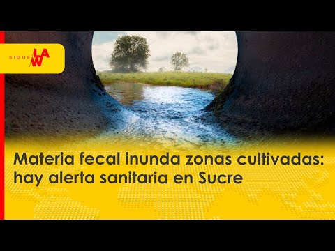 Alerta en Sucre: materia fecal inunda zonas cultivadas en municipio de Toluviejo