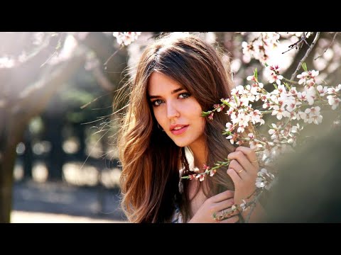 Franco Sánchez - Return [ Original song ]