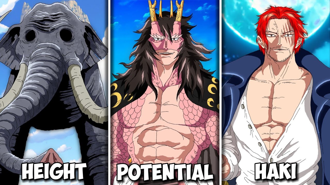 40 Record Holders in One Piece You Probably Missed