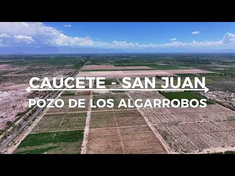 Finca en Caucete, San Juan – 83 hectáreas con riego por goteo FINCAR