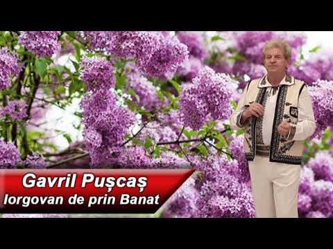 Gavril Puscas - Iorgovan de prin Banat