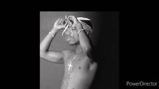 apollo brown- Tupac- pain 2022