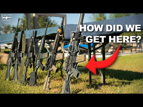 Evolution of the AR-15 (Ft. Daniel Defense)