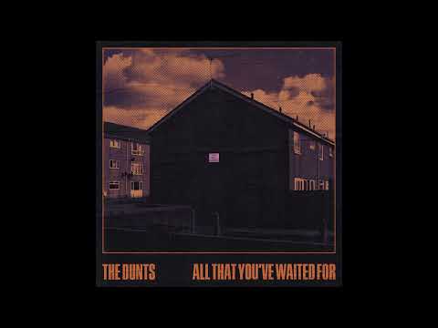 Time To Live - The Dunts