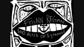 Fionn Regan - Woodberry Cemetary