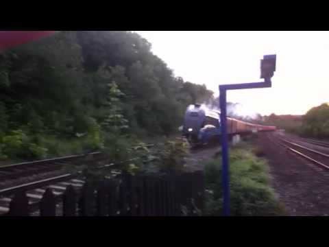Steam Train LNER Class A4 4464 Bittern