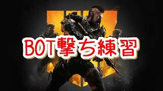 ［練習］ヤバいのでBOT撃ち［BO4］