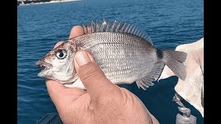 Рыбалка в марте на черном море с берегами