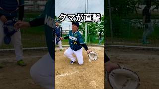 豪速球がタマ裏に直撃するキャッチャー #shorts