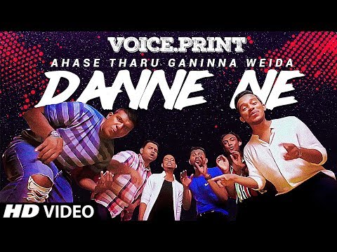 Voice.Print - Danne Ne