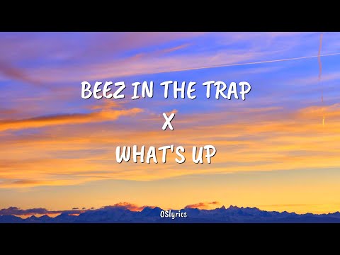 Nicki minaj- Beez in the trap x what's up ( lyrics video) mashup 🔰. #music #lyricsvideo