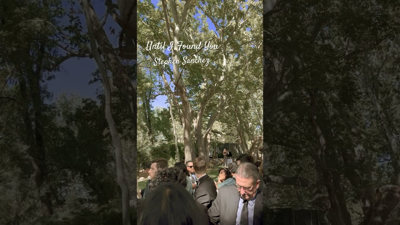 Promotional video thumbnail 3 for Wedding Singer, Adriana S