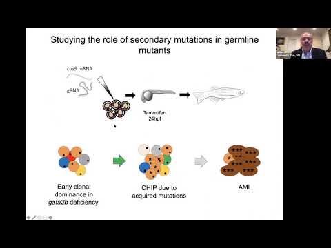 On the Way to Pediatric Leukemia - Following Clonal Dynamics with Cellular Barcoding