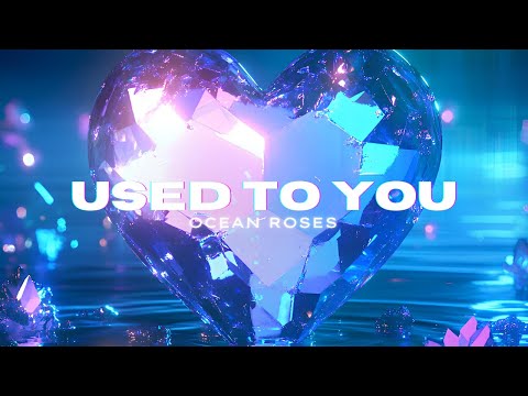 Ocean Roses - Used To You