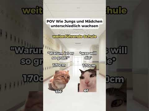 Wie groß seid ihr?😂 #katzenvideos #katzen #deutsch