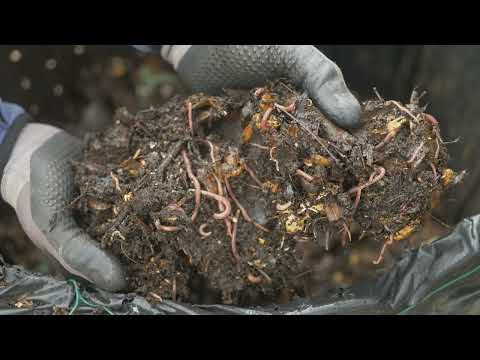 Mój Kompostownik w  Lutym. Kompost w zimie.