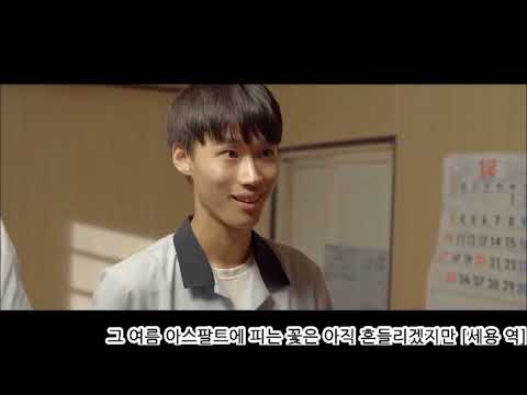 비디오 11