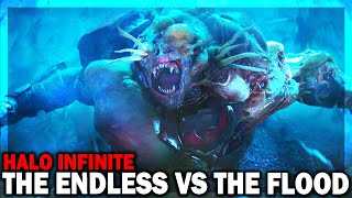 Why The Endless are Worse than The Flood in Halo Infinite! (EXPLAINED) The Flood vs The Endless!