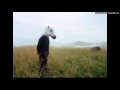 Sparklehorse - Sunshine