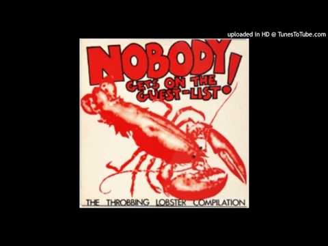 Johnny & The Jumper Cables - Not Your Kind