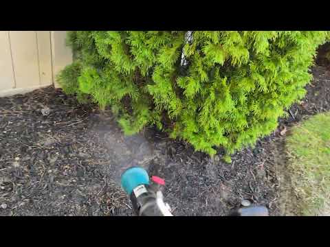 Stopping Mosquitoes & Ticks From Biting Family in Fair Haven, NJ