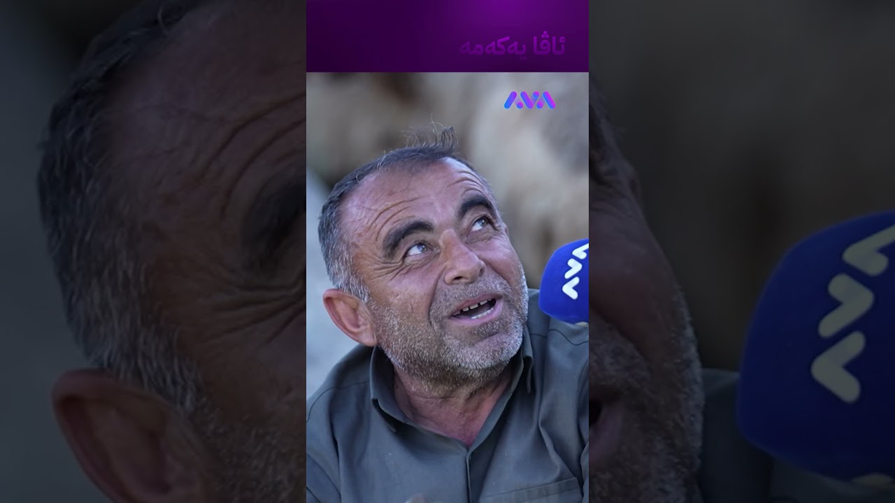 ڤیدیۆ | وەرە کورە دەڵێی مێش پێیوەداوی