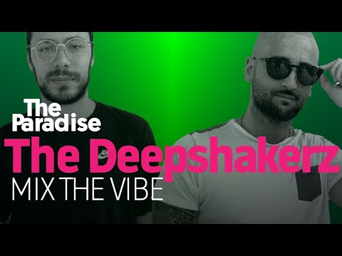 Mix The Vibe: The Deepshakerz