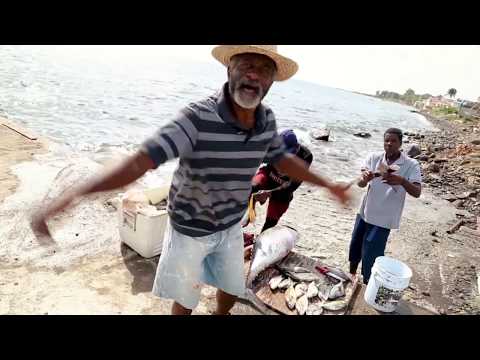 First Serenade Band Ft. Halibut -Riches of Dominica