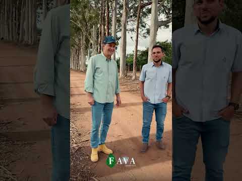 Mauro Gomes - Agricultor em Primavera do Leste - MT