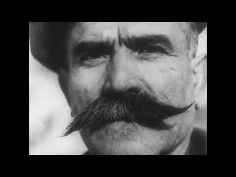 Immigrants in the Cities (1972) Emigration and immigration, History