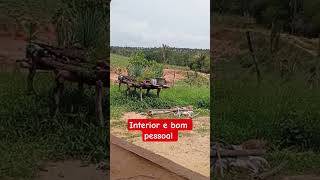 Download lagu #shotrs mp3 Download lagu #shotrs mp3